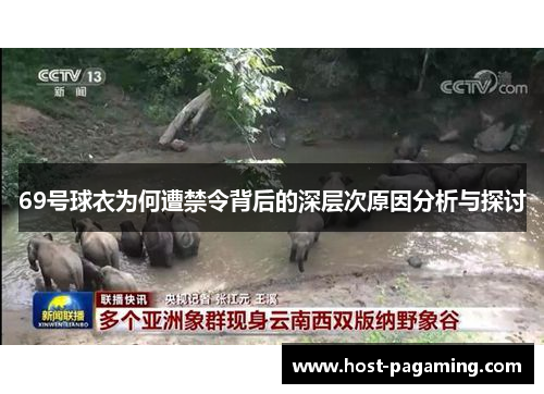 69号球衣为何遭禁令背后的深层次原因分析与探讨