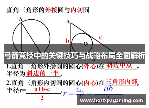 弓箭竞技中的关键技巧与战略布局全面解析 弓箭竞技中的关键技巧与战略布局全面解析